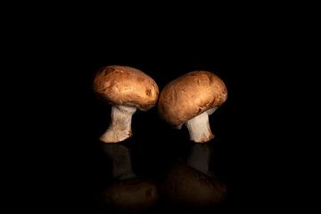 Duo van champignon van Koen Pletinckx