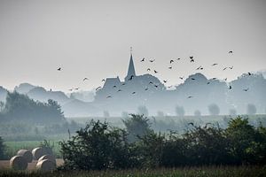 Polder Nebel von Peter Vruggink