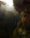 Waterfall Dream (Madeira, Portugal) van Ian Schepers thumbnail