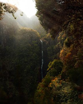 Wasserfall-Traum (Madeira, Portugal) von Ian Schepers