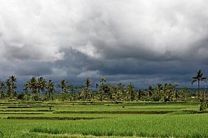 Tegallalang: Harmonie unter den Wolken