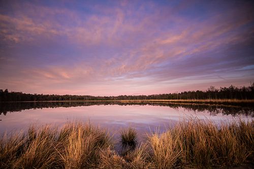 Zonsondergang reflectie in het heide vennetje!
