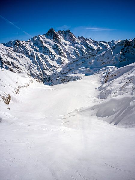 Schweizer Alpen: Eismeer-Gletscher (Ischmeer) von t.ART