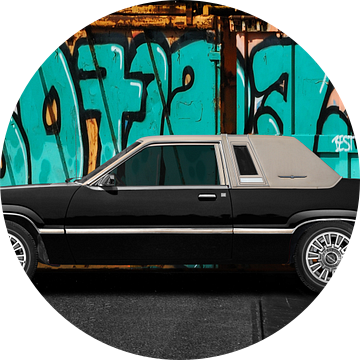 Ford Thunderbird Doosvogel