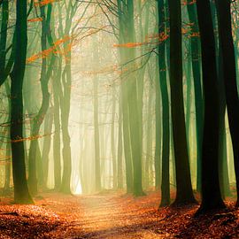 Speulderbos 7 von Deshamer