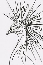 Black lines peacock on white background by Art & Soul Creations