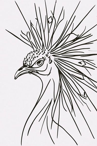 Zwarte lijnen pauw op witte achtergrond van Art & Soul Creations