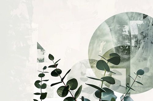 Eucalyptus & Geometrie: Organische symmetrie