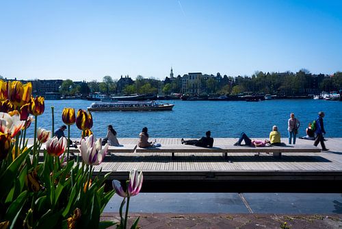 Tulpen & Zomerse dag @ Oosterdok in Amsterdam