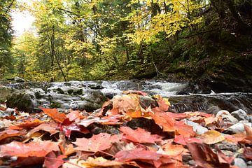A river in autumn by Claude Laprise