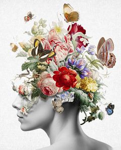 Miracle of Summers