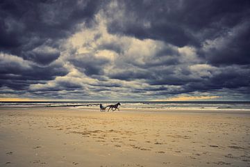 paard met sulky op het strand van eric van der eijk