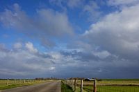Texel