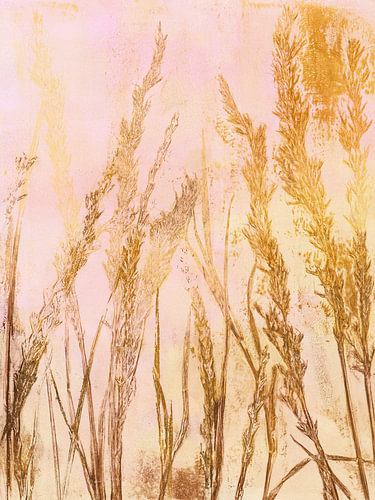 Träumen in der Wiese von Karen Kaspar