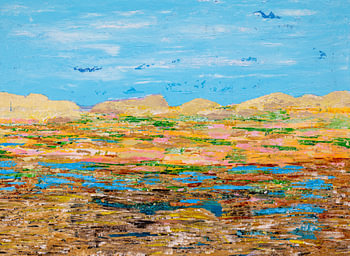 La vallée des dunes de Texel