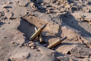 Kogels in het met zonlicht bedekte zand. van Jolanda de Jong-Jansen