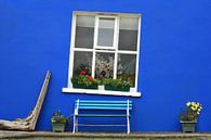 Blaue Fassade eines irischen Cottage von Hans Kwaspen Miniaturansicht