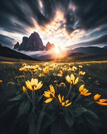 A morning in the Dolomites