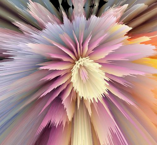 De uitbundigheid van een bloem