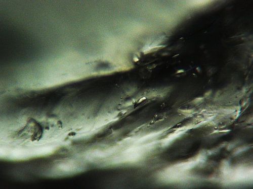 Haribo beertjes onder de microscoop