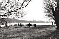 Park in Holland Black White