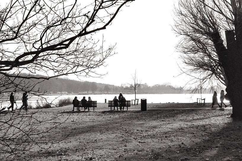 Park in Holland Black White by Consala van  der Griend
