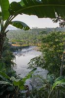 Indonesië : Blik op Java