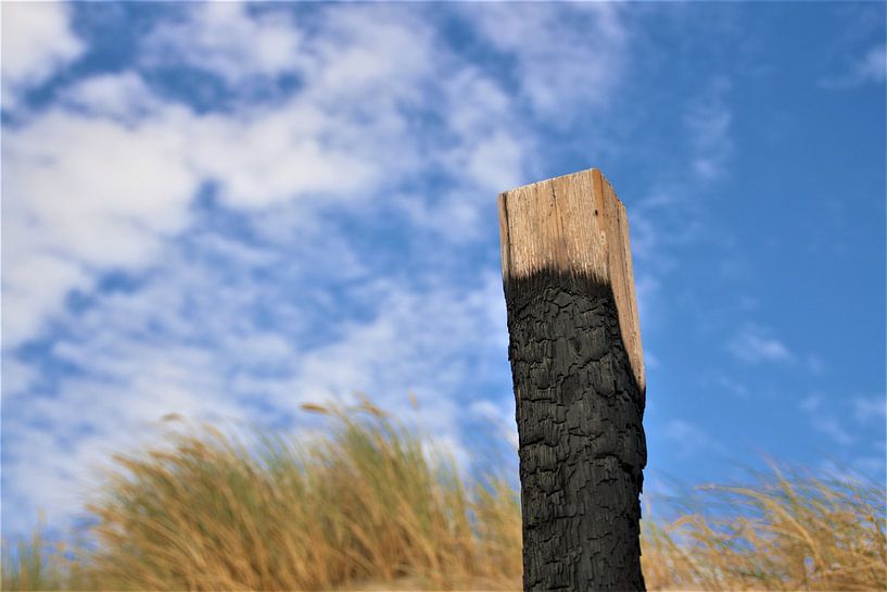 verbrande paal par Max van Boxel