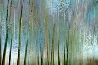 Magisch bos - abstracte fotokunst, voor rust en energie