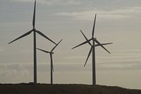 Windmolens, Maasvlakte 2, Rotterdam