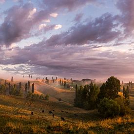 The most beautiful sunrise - Panorama by Maarten Mensink