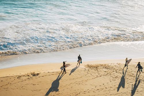 Surfers in Sagres, Portugal