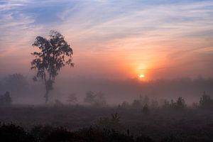 Serene zonsopgang van Tvurk Photography