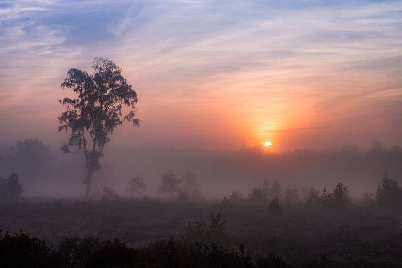 Gelassener Sonnenaufgang von Tvurk Photography