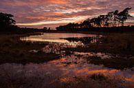 Cloud reflection by Jeroen Maas thumbnail