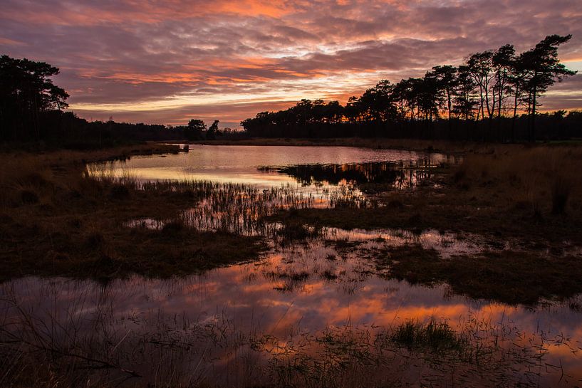 Cloud reflection by Jeroen Maas