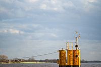 In Bremen  the promenade is flooded again with wonderful weatherIn Bremen ist die Promenade wieder m