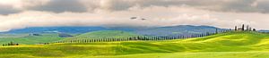 Frühling im Val d Orcia