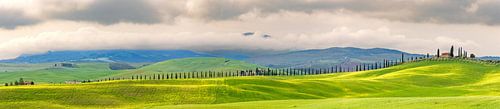 Frühling im Val d Orcia