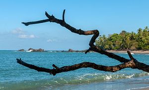 Costa Rica: Corcovado National Park