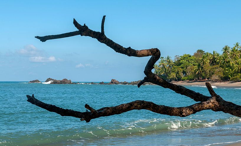 Costa Rica: Corcovado National Park by Maarten Verhees