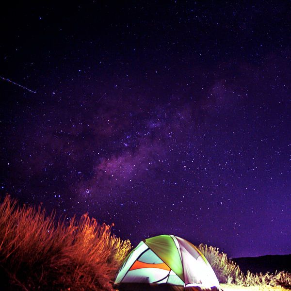 In the nest of stars by Mad Dog Art
