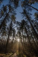 Sonnenaufgang