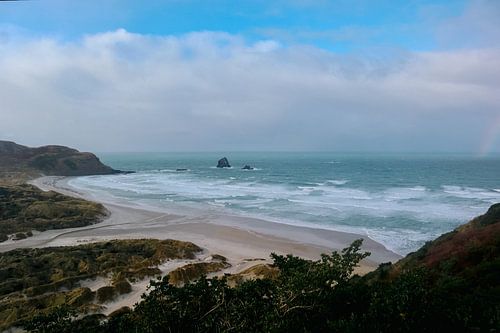 Sandfly Bay Péninsule d'Otago