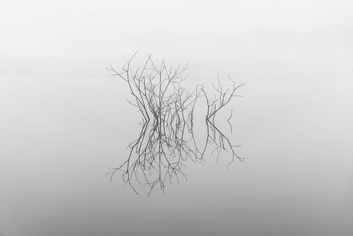 Doubler dans le brouillard