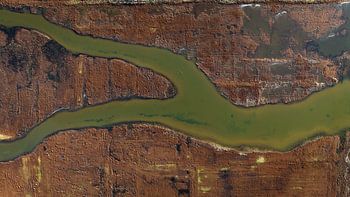 Brown and green (2/4)