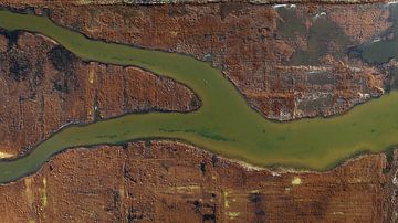 Braun und grün (2/4)