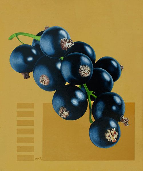 Black currants by Dietrich Moravec