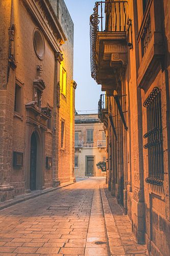 Rue déserte à Mdina | Photographie de ville | Photographie de voyage