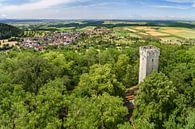 Weilerburg Rottenburg met uitzicht op Weiler van Christoph Hermann thumbnail